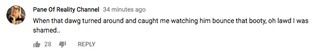 YouTube comment from user Pane Of Reality Channel