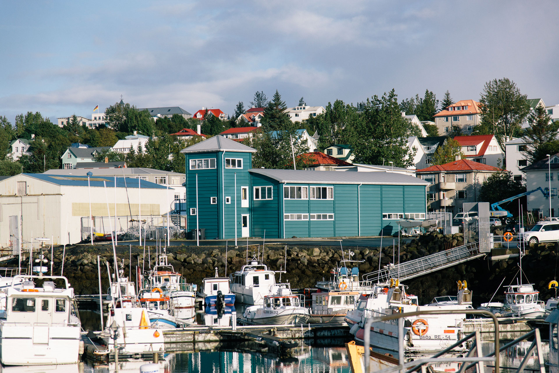 Iceland-Fish-Leather