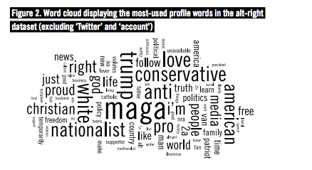 Word cloud showing the most commonly used words in alt-right profile accounts—such as 