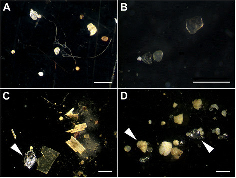 Microplastics from river sediment