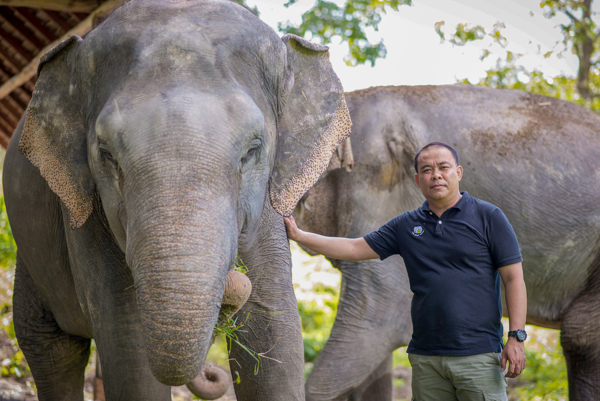 Ethical-Elephant-Sanctuaries