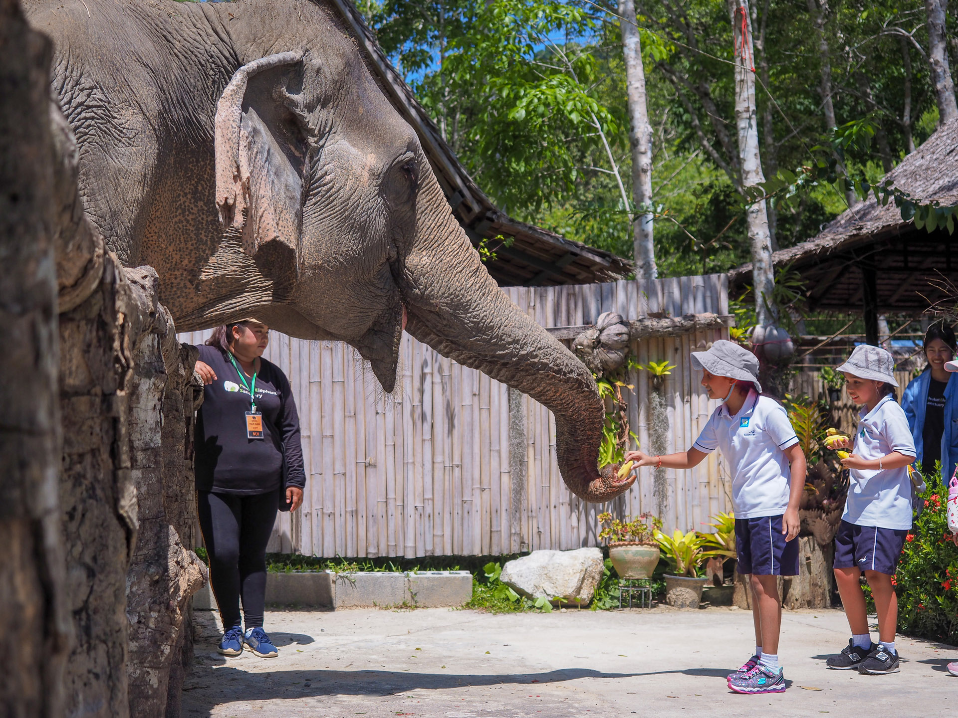 Ethical-Elephant-Sanctuaries