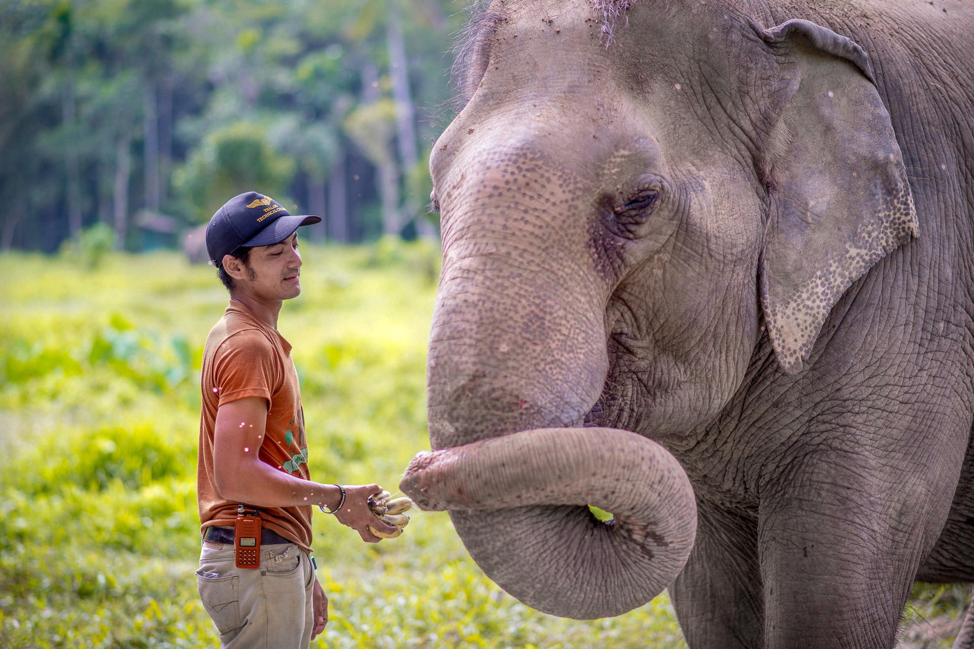 Ethical-Elephant-Sanctuaries
