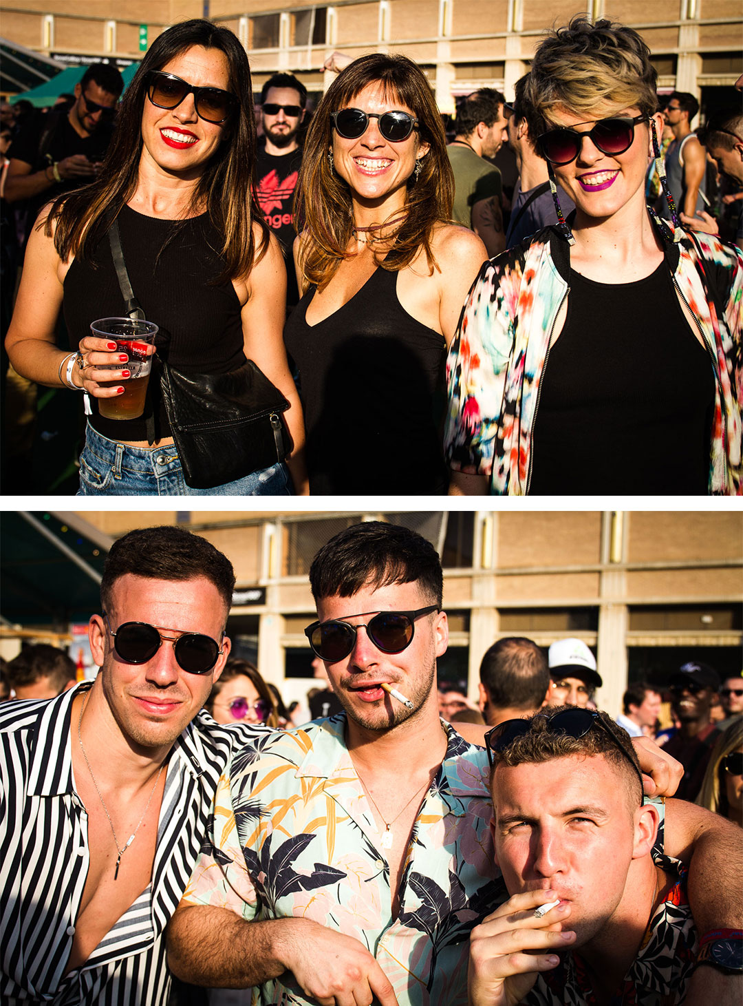 Sonar-D Festivals