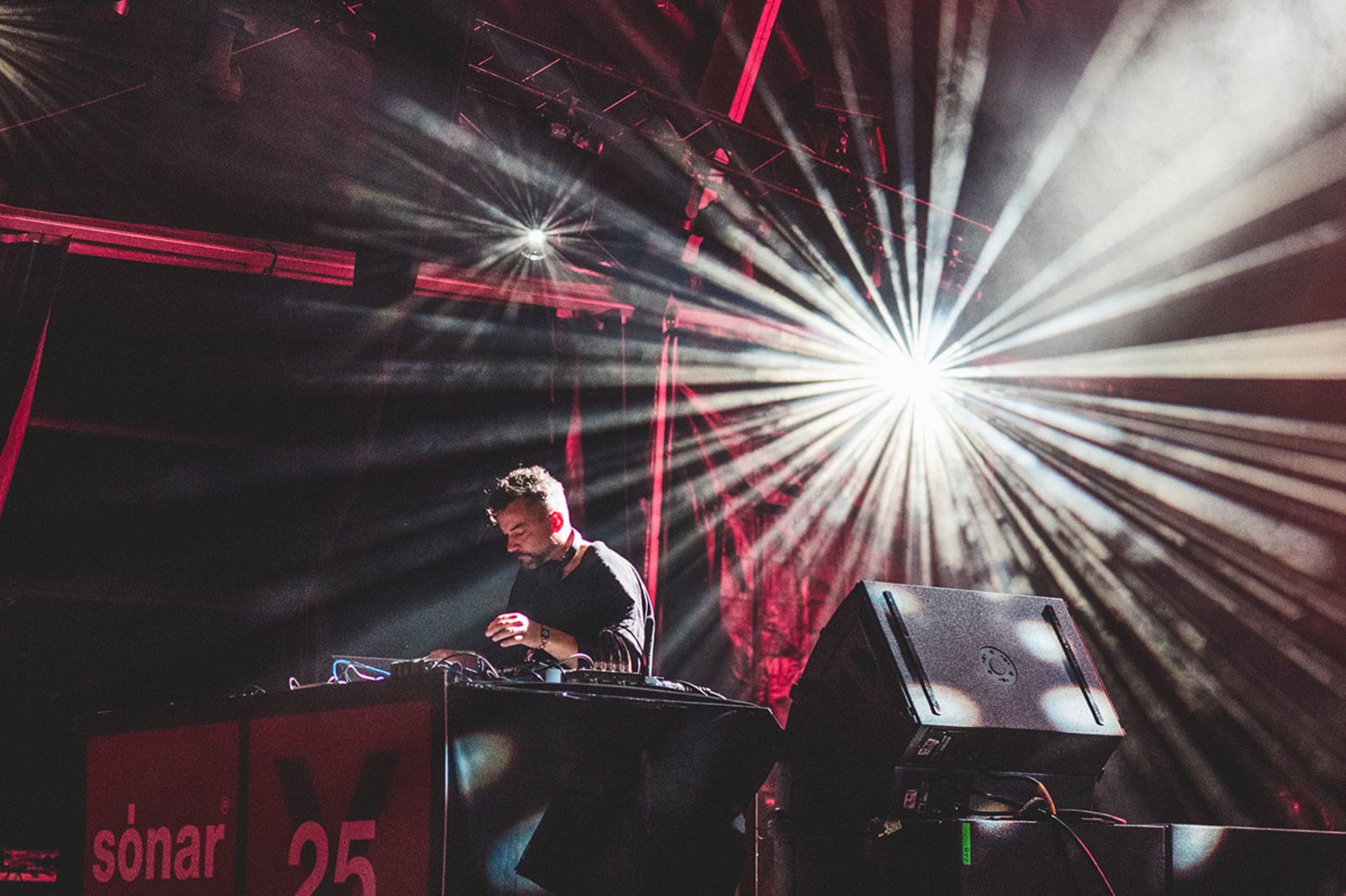 Bonobo_Lab_Friday_Sonar