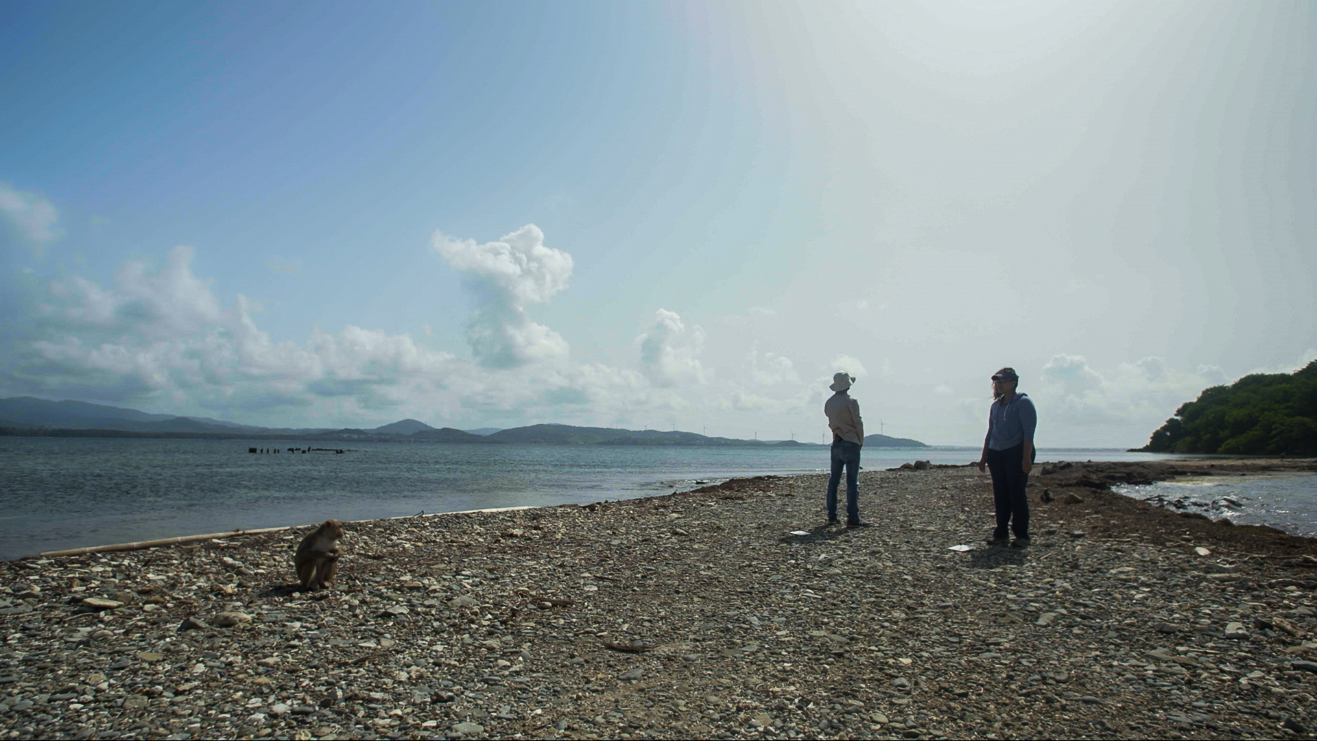 Two scientists on an island with a monkey