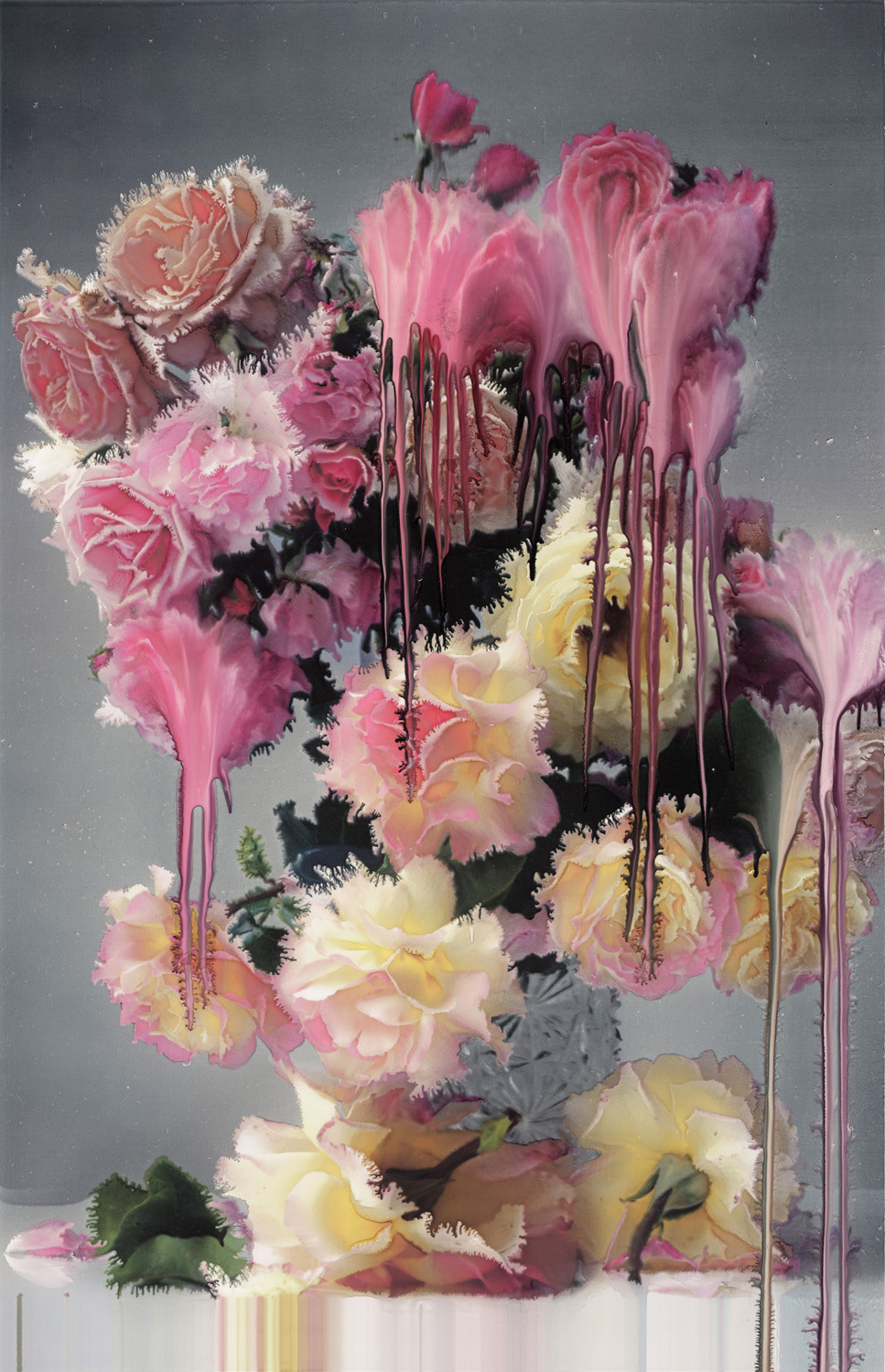 Nick Knight Rose