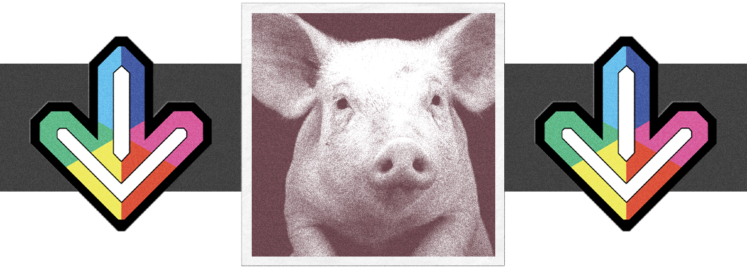 1539959152985-pigs