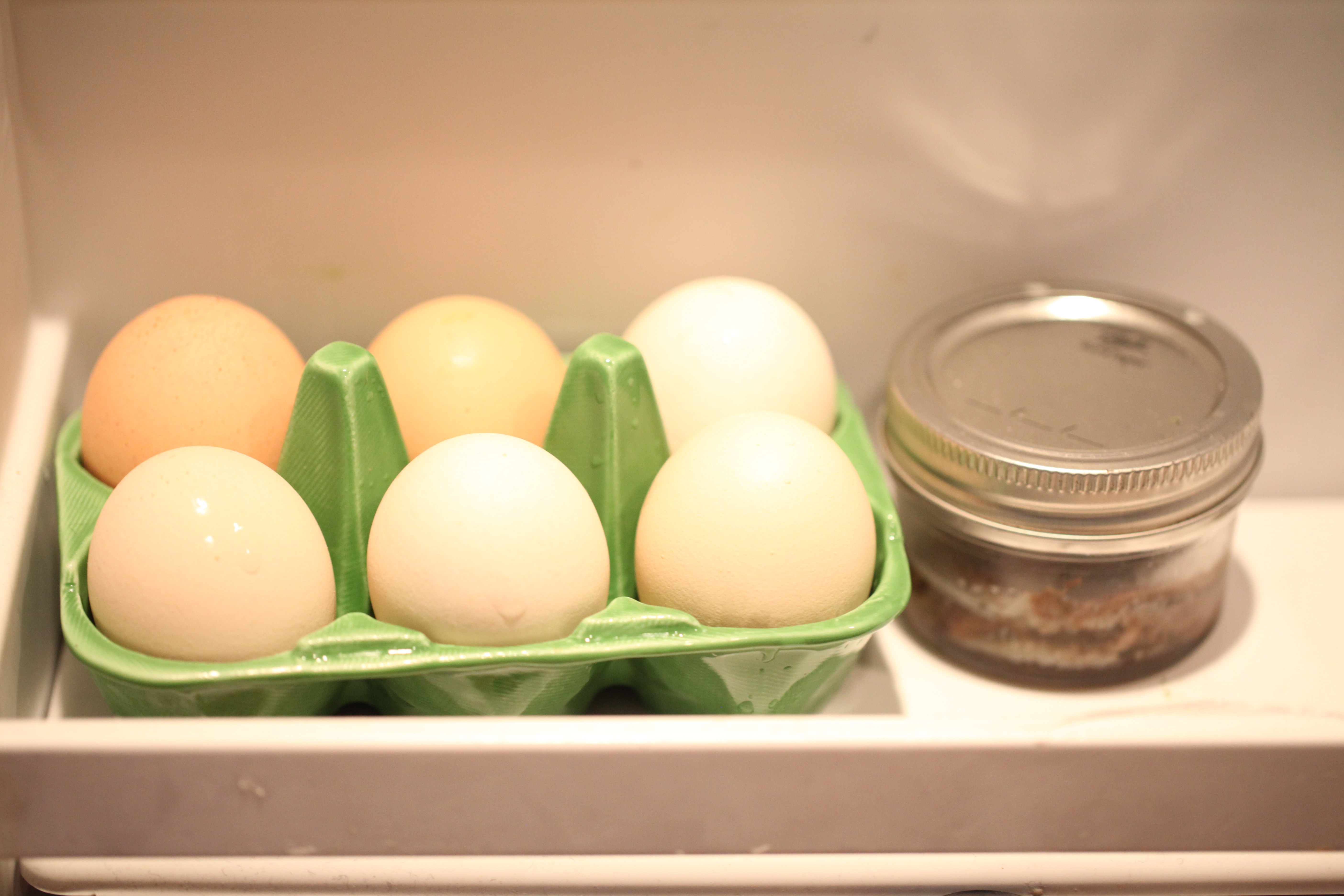 eggs in ceramic egg carton