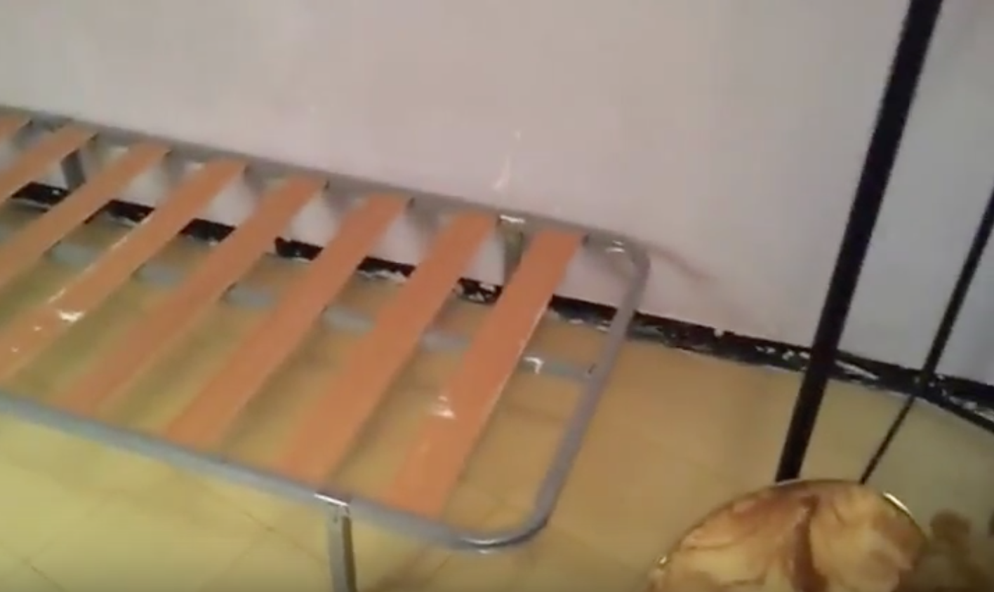 1540378219812-Captura-Somier