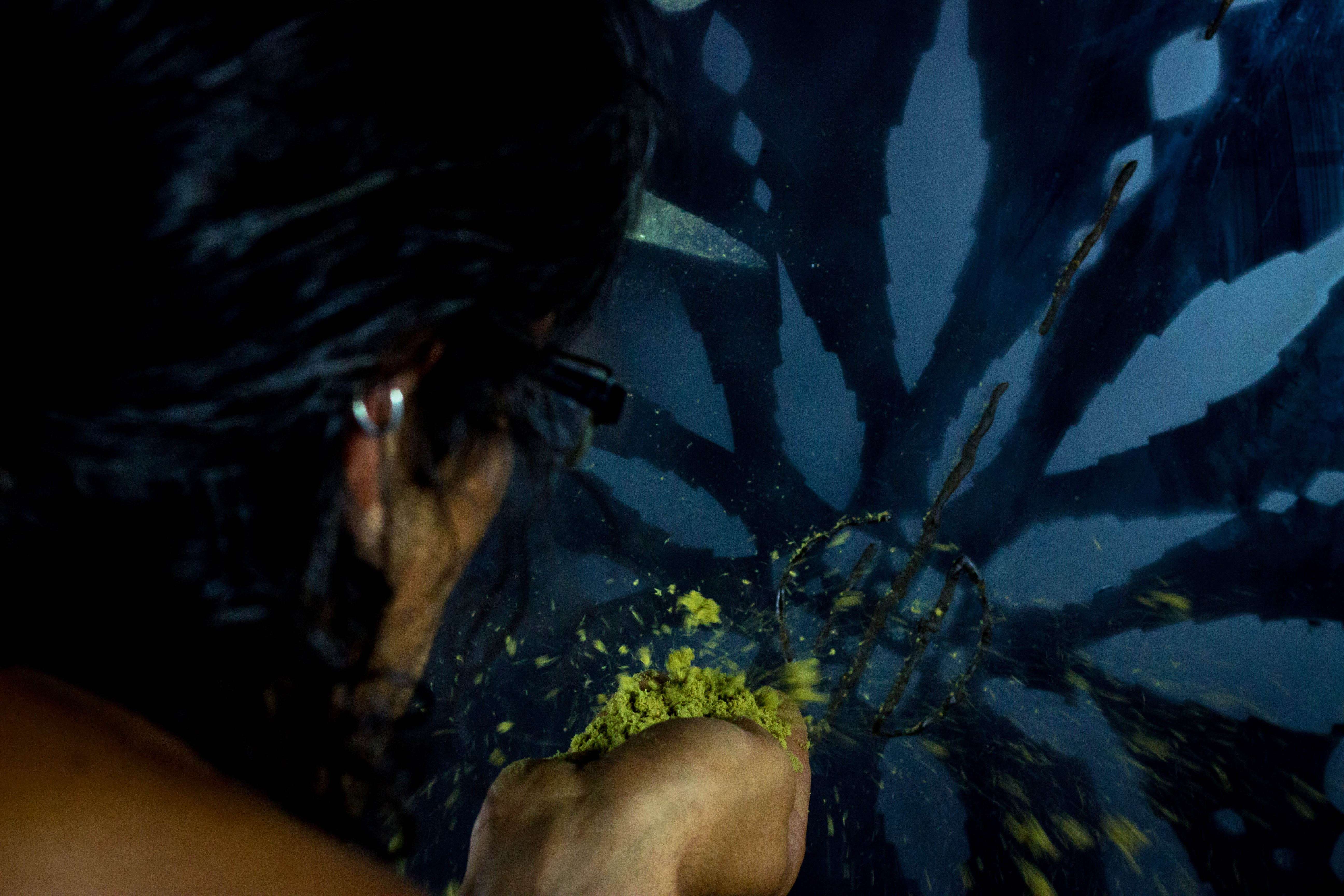 arte con cannabis