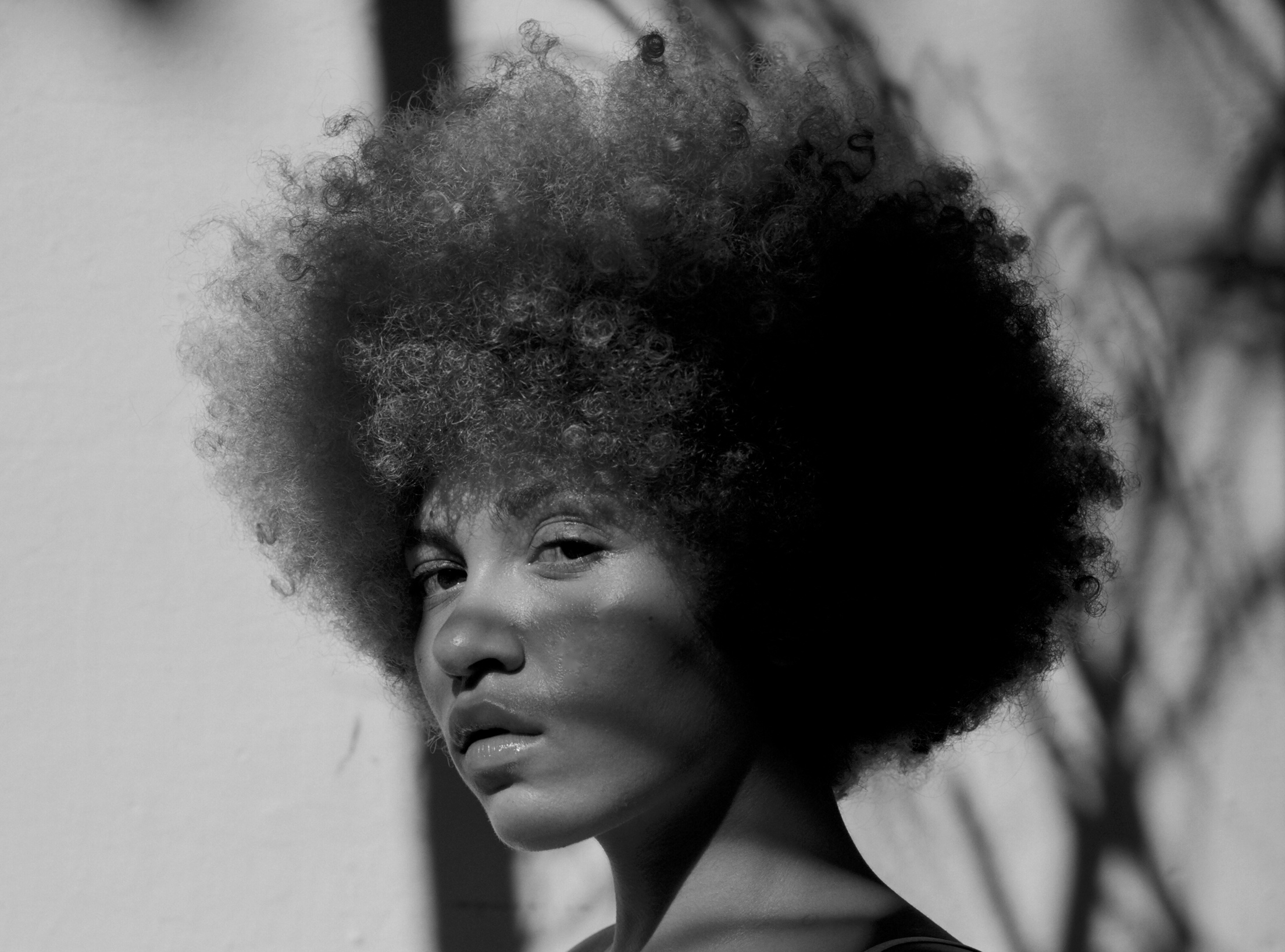 Brazil by Hugo Scott