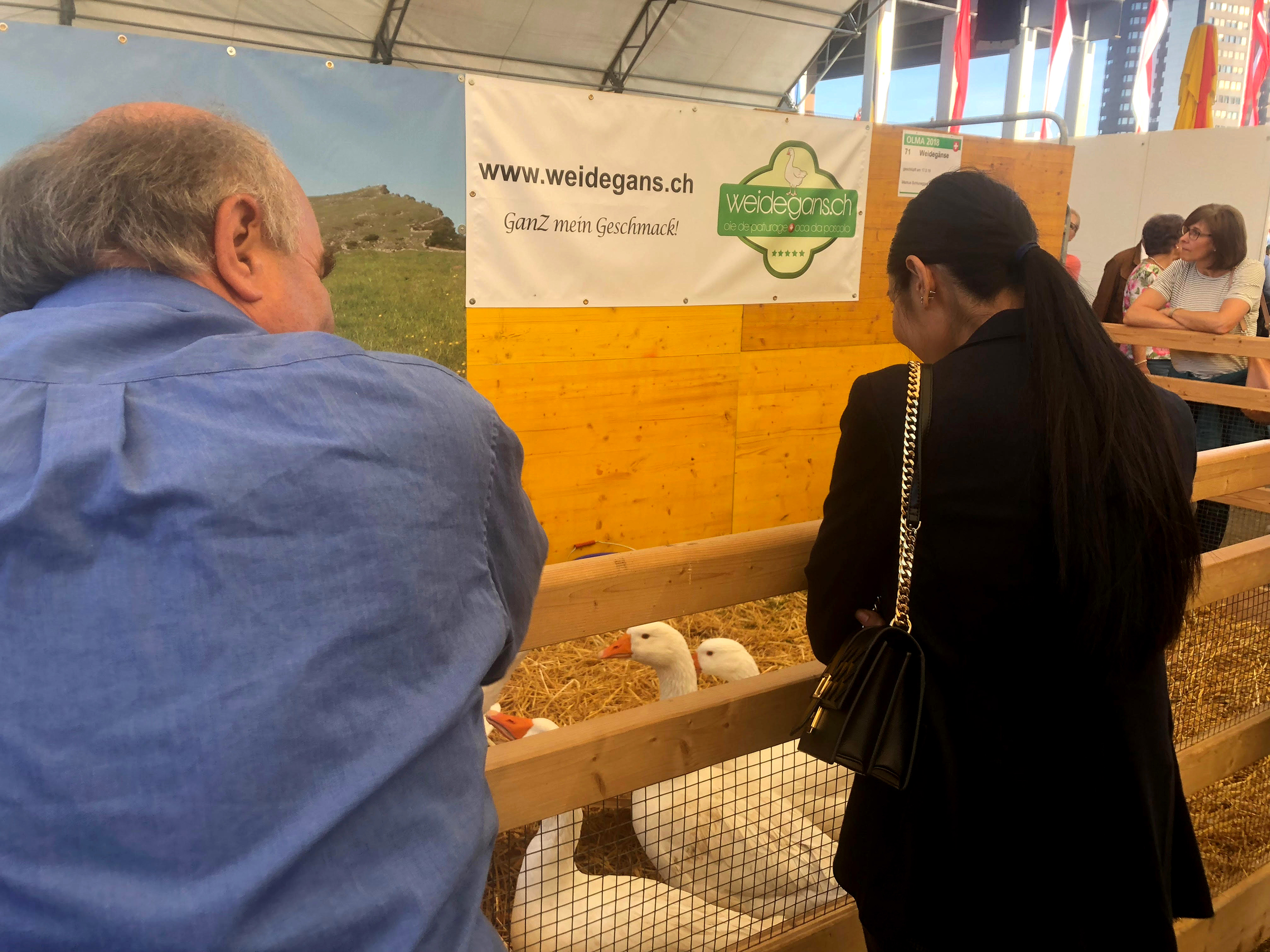 Sexismus auf dem Land Übergriffe Olma Messe 2018
