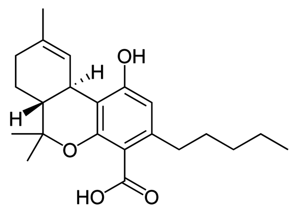 1540828341078-content_Delta-9-tetrahydrocannabinolic_acid_B