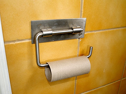 Empty toilet paper roll. Wikimedia Santeri Viinamaki