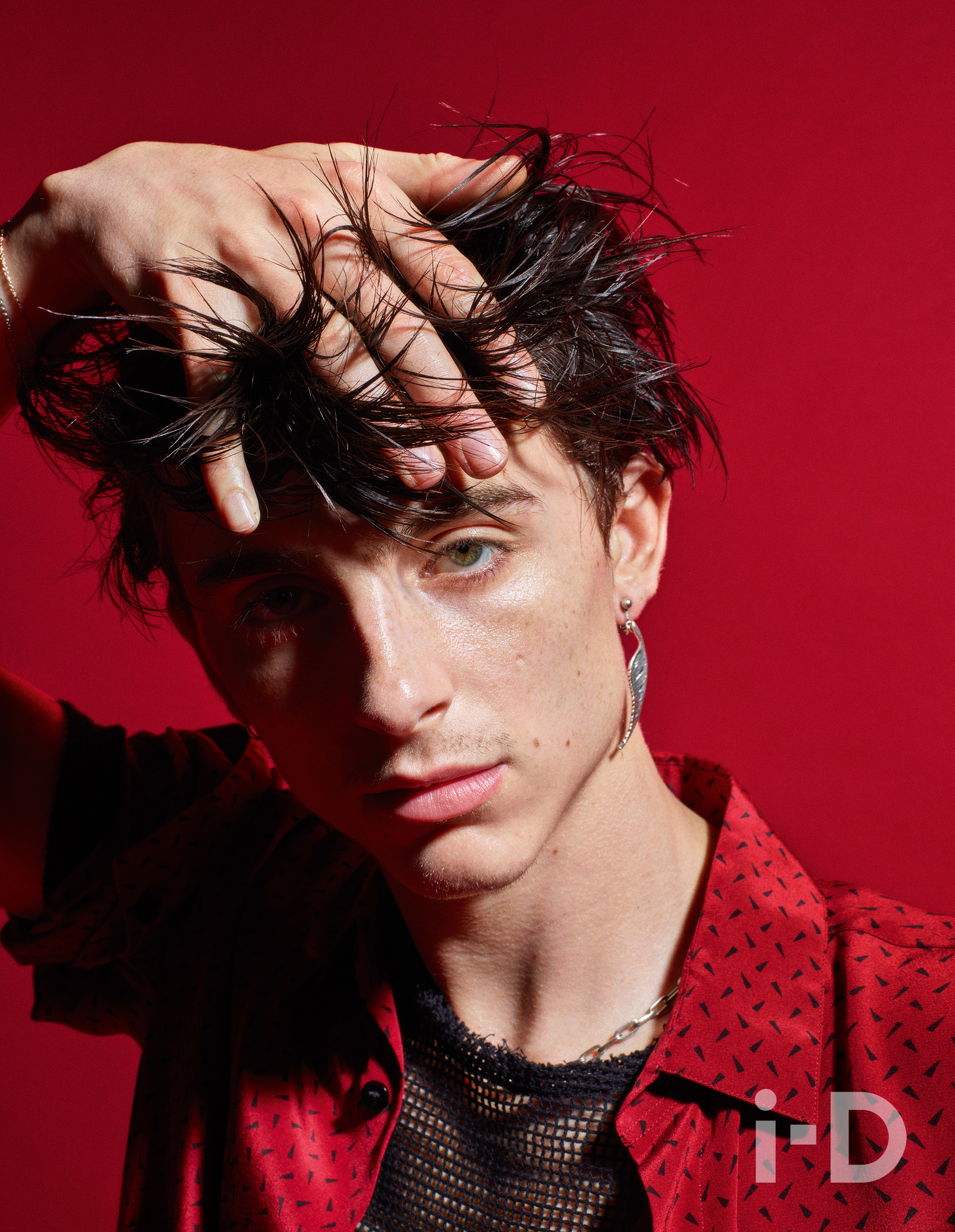 Harry Styles interviews Timothée Chalamet for i-D