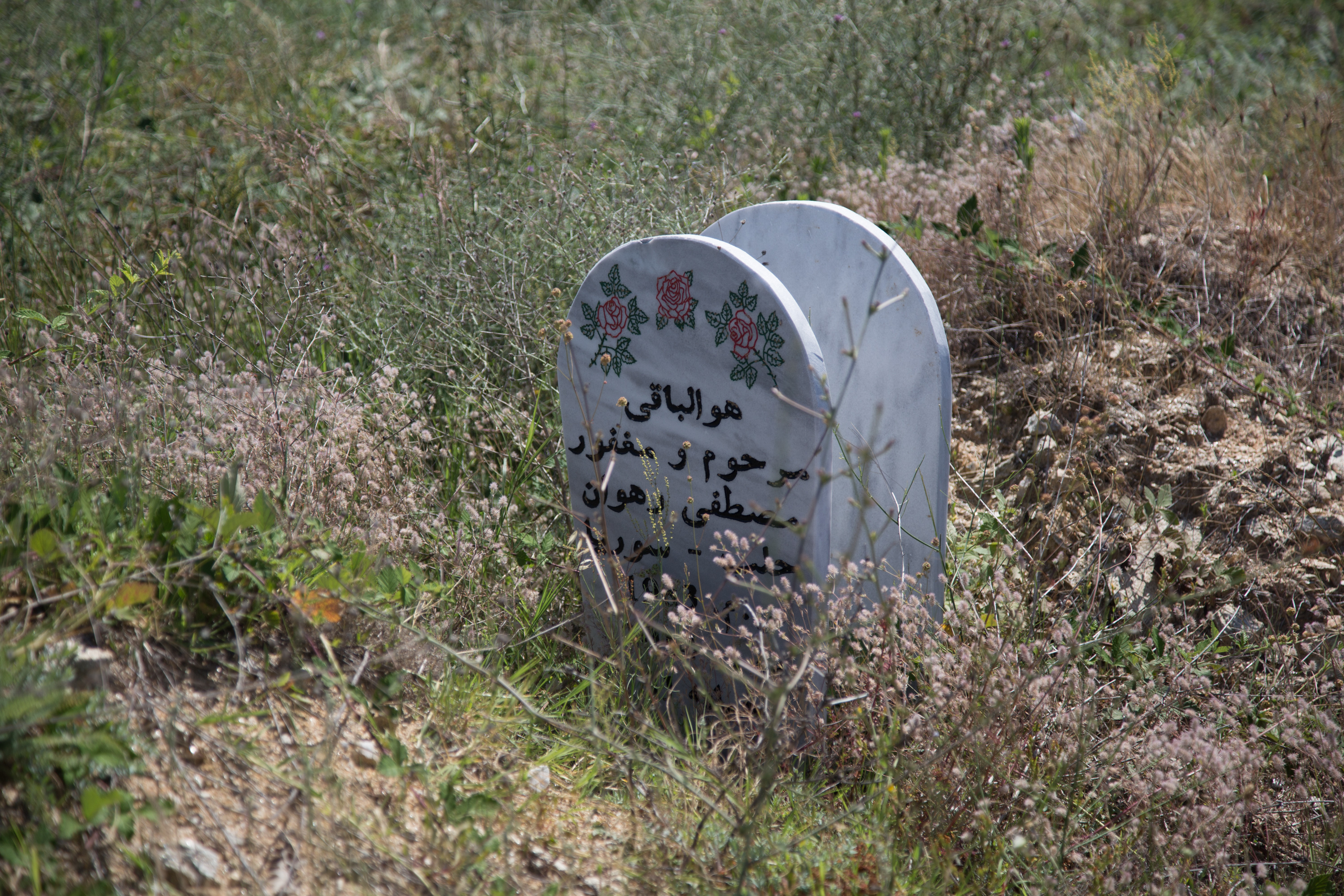 1541003852701-IMG_5600
