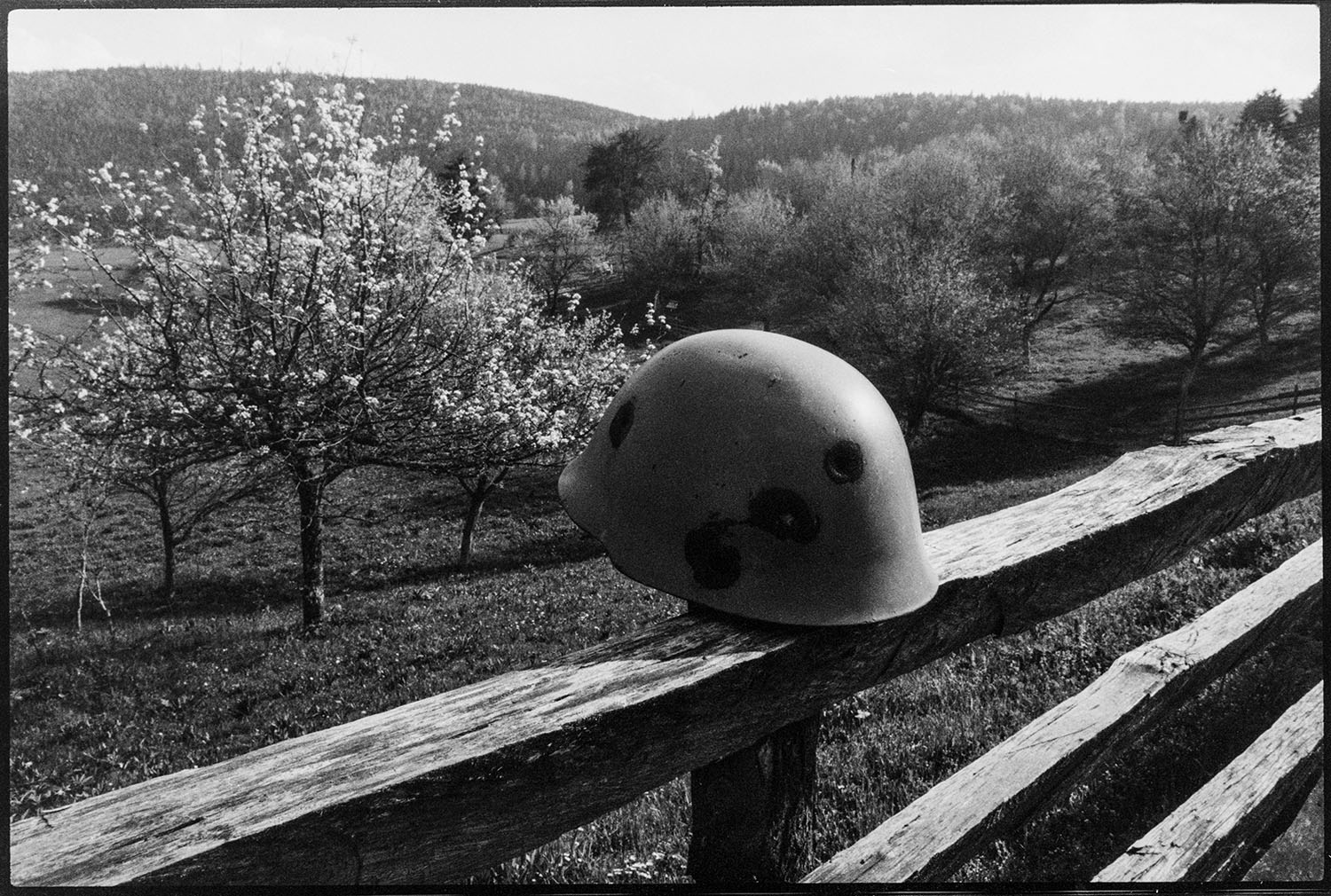 Prolece-fotografja-Imre-Szabo
