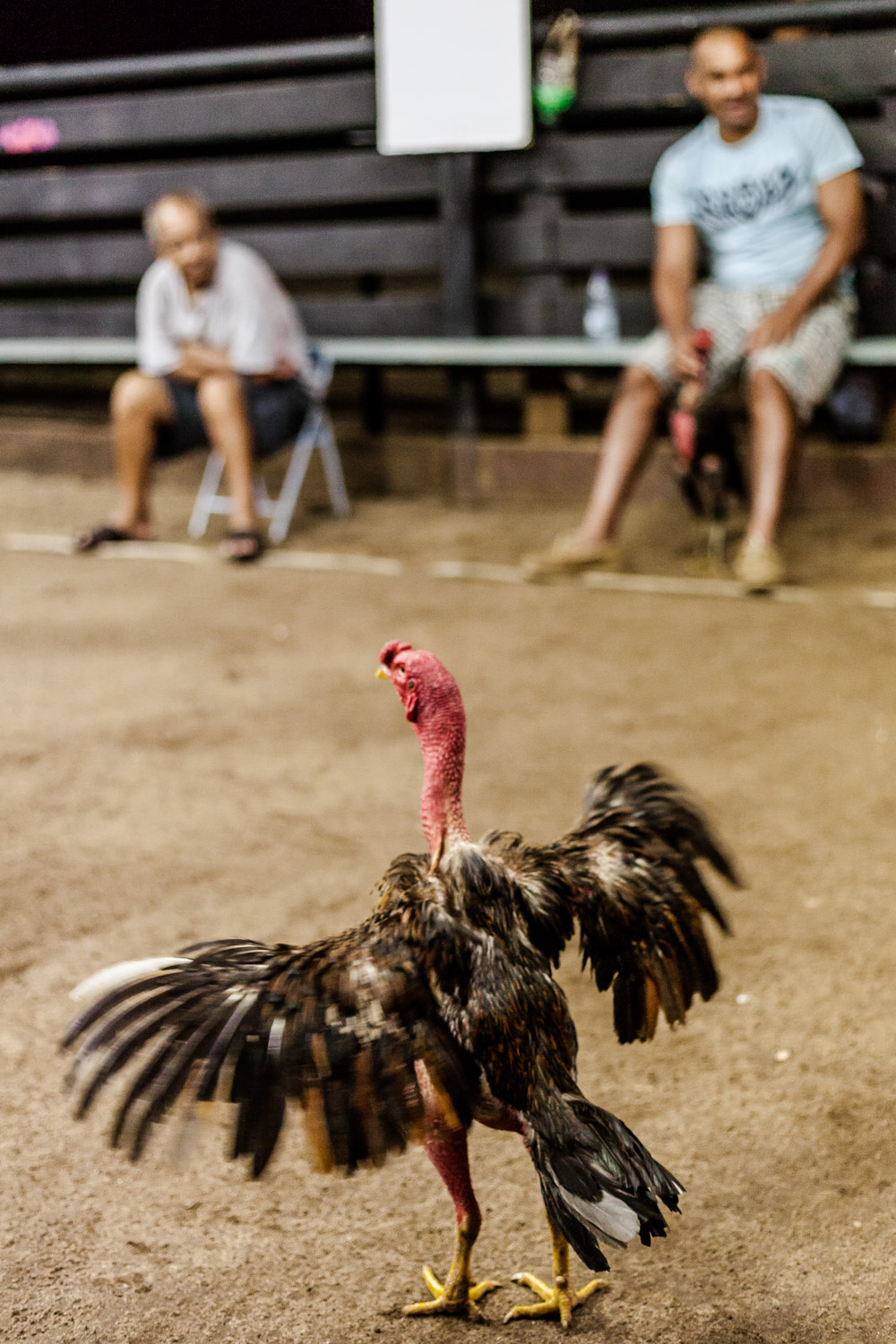 1541520878543-IMG_9391