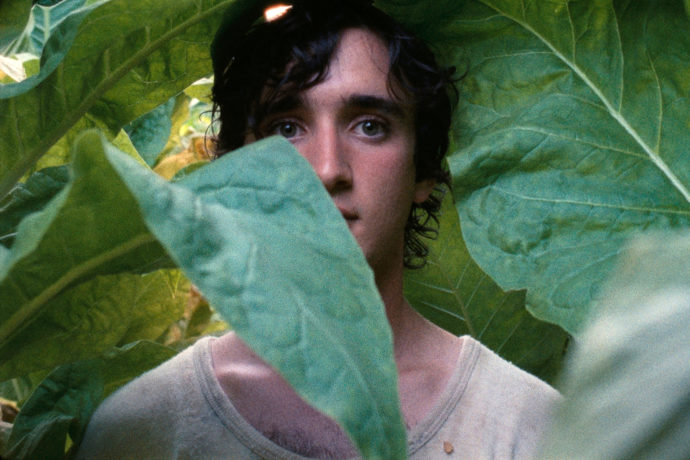 Heureux Comme Lazzaro Alice Rohrwacher