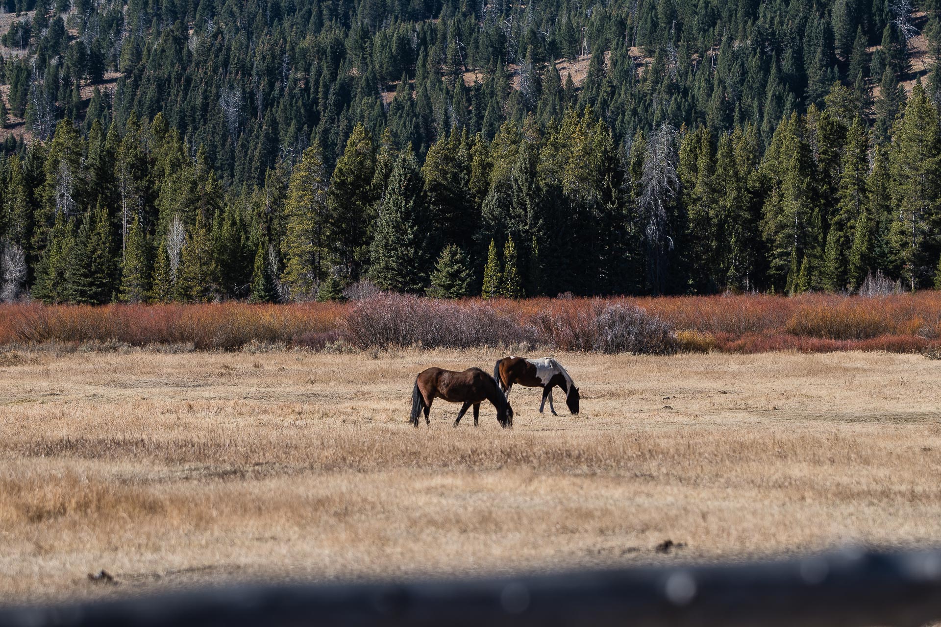 Rolls-Royce-Wyoming-Road-Trip-17-of-19