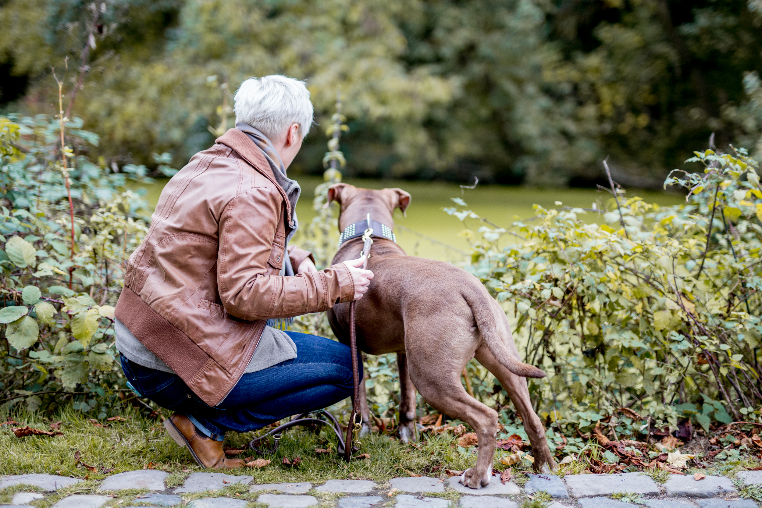 Anna und Buddy beobachten Enten im Teich