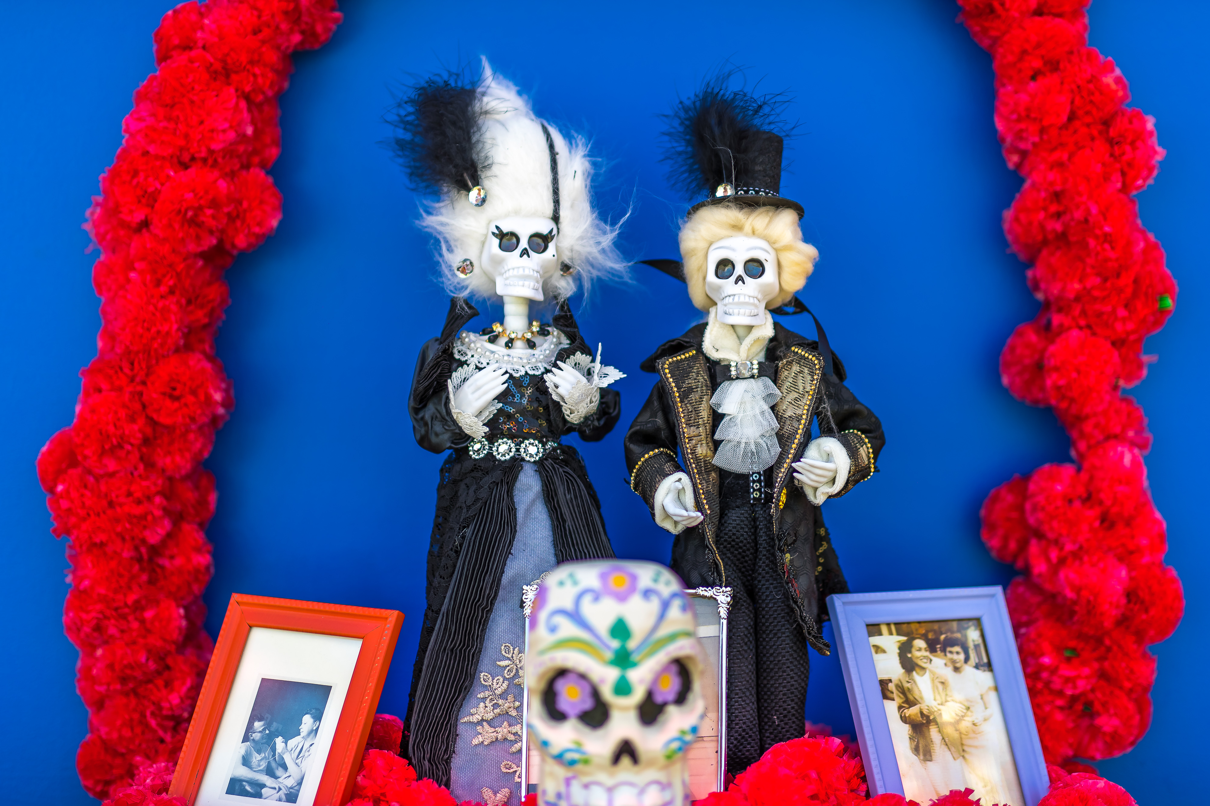 1541797631470-HARDDOTD2018_1103_142912-007_DRR