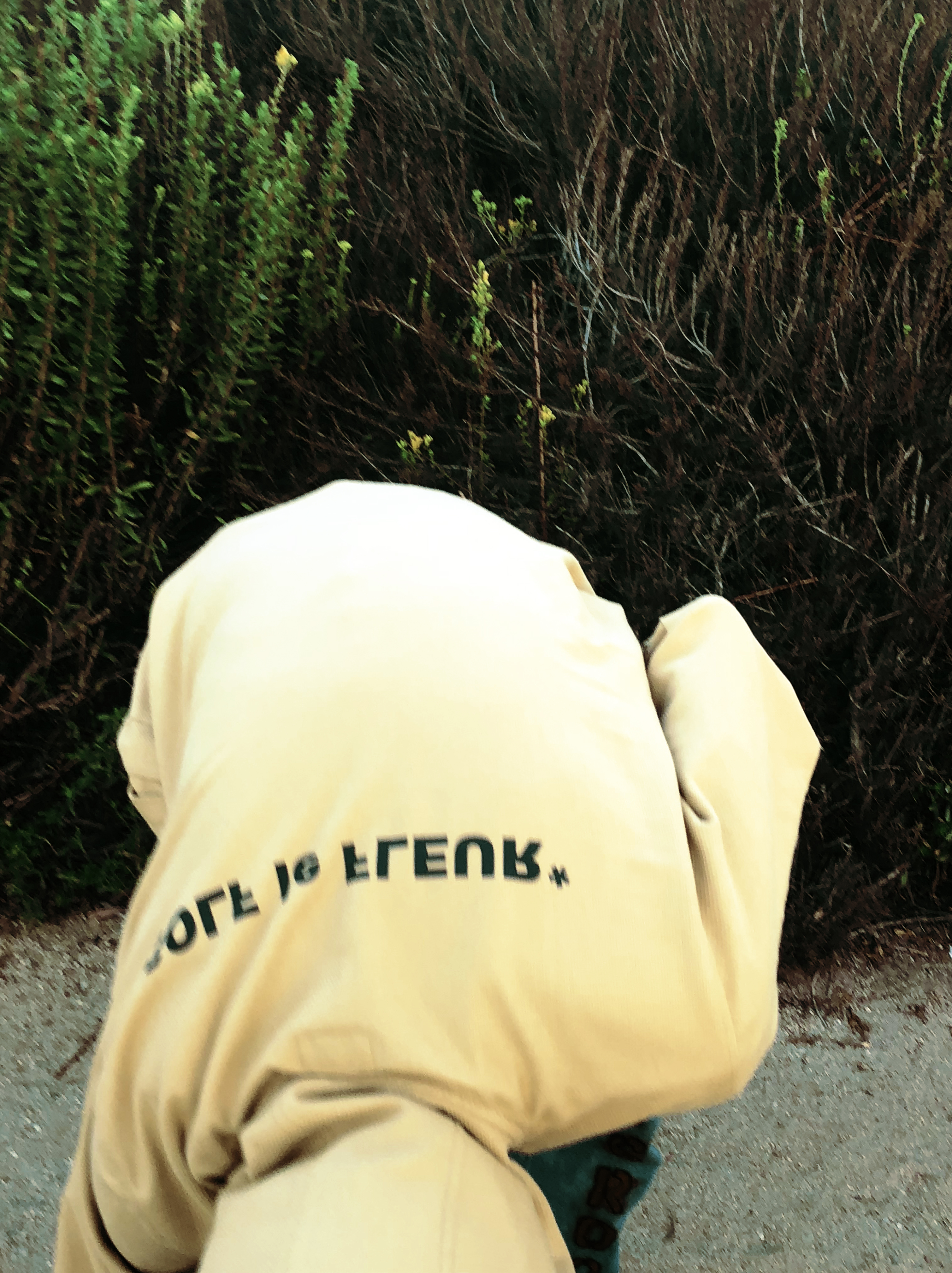 1542277516485-HO18-TYLER-PHOTO-3