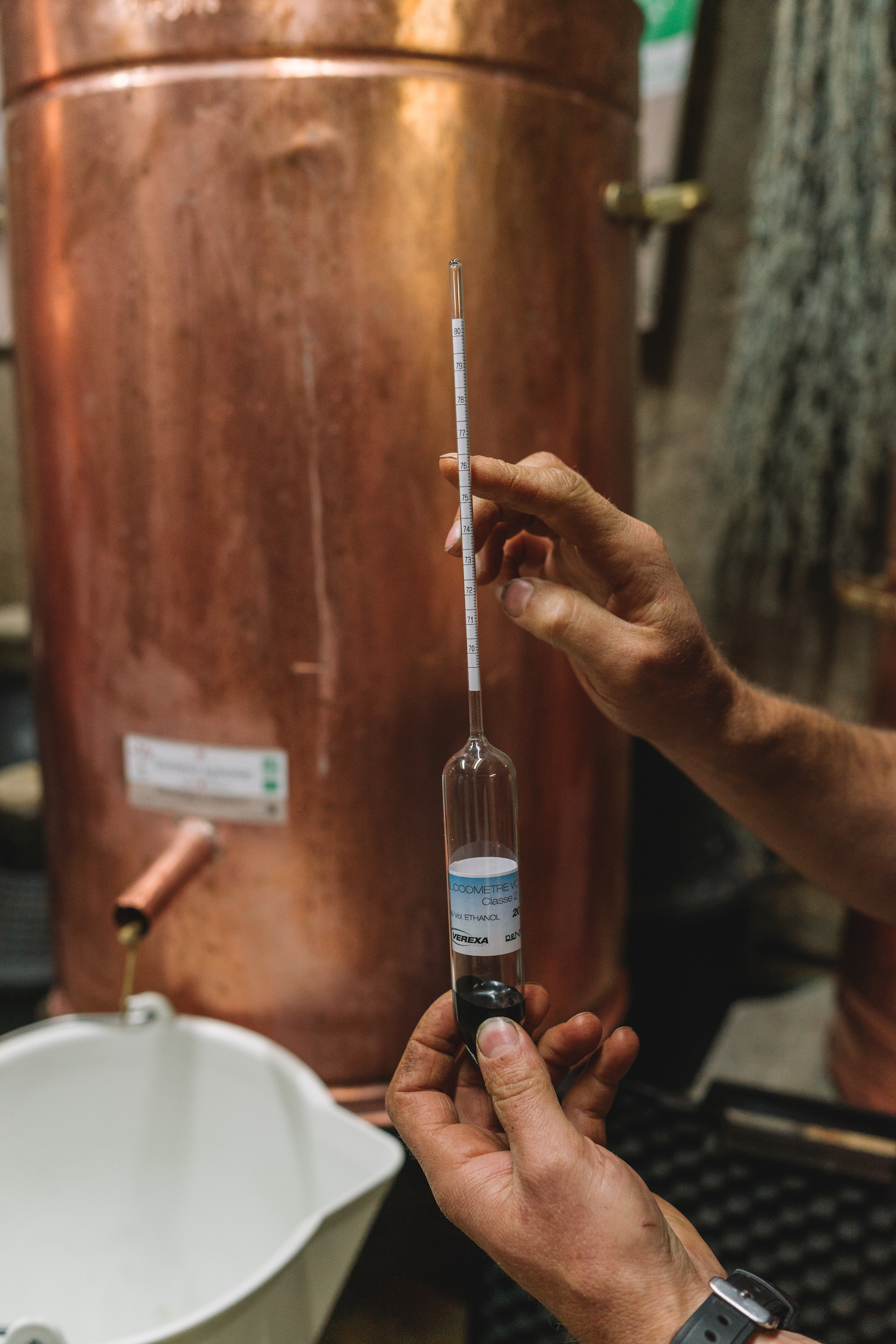 Absinthe Cultivateur