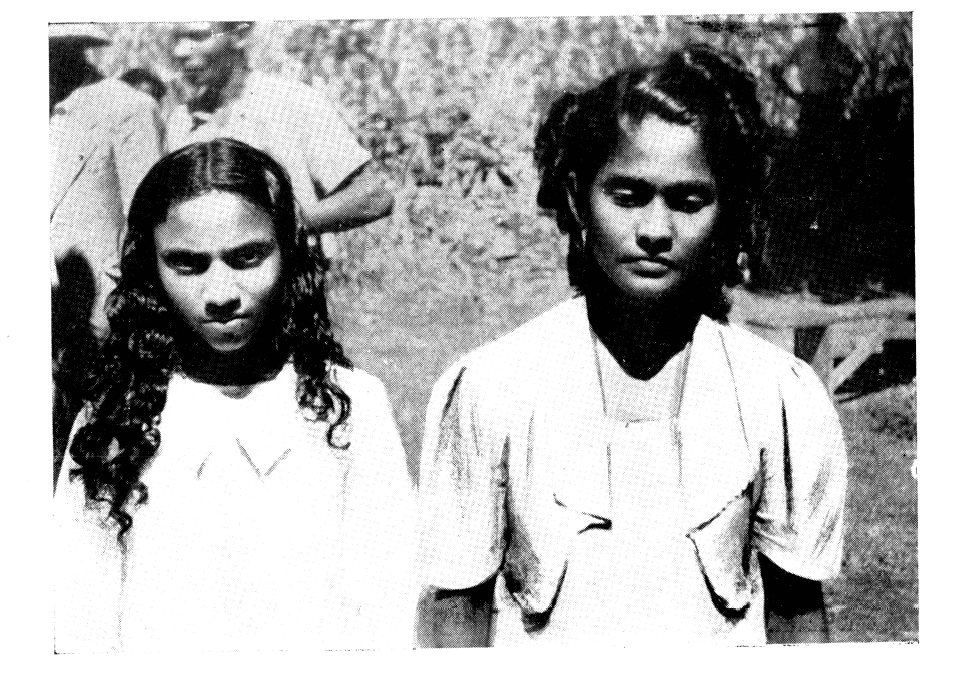 Colombo Inde Guadeloupe