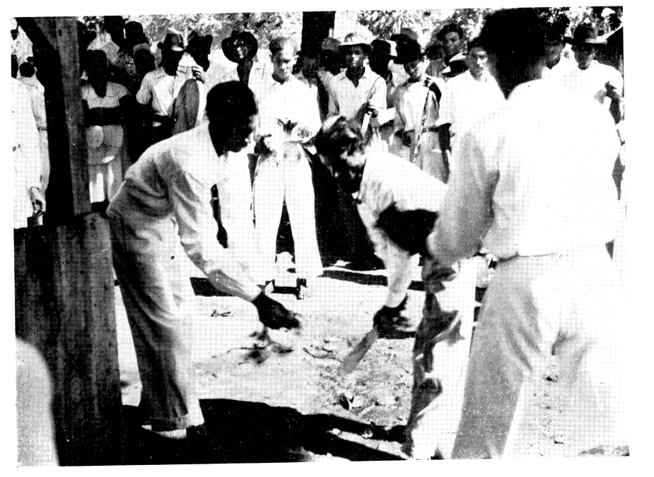 Colombo Inde Guadeloupe