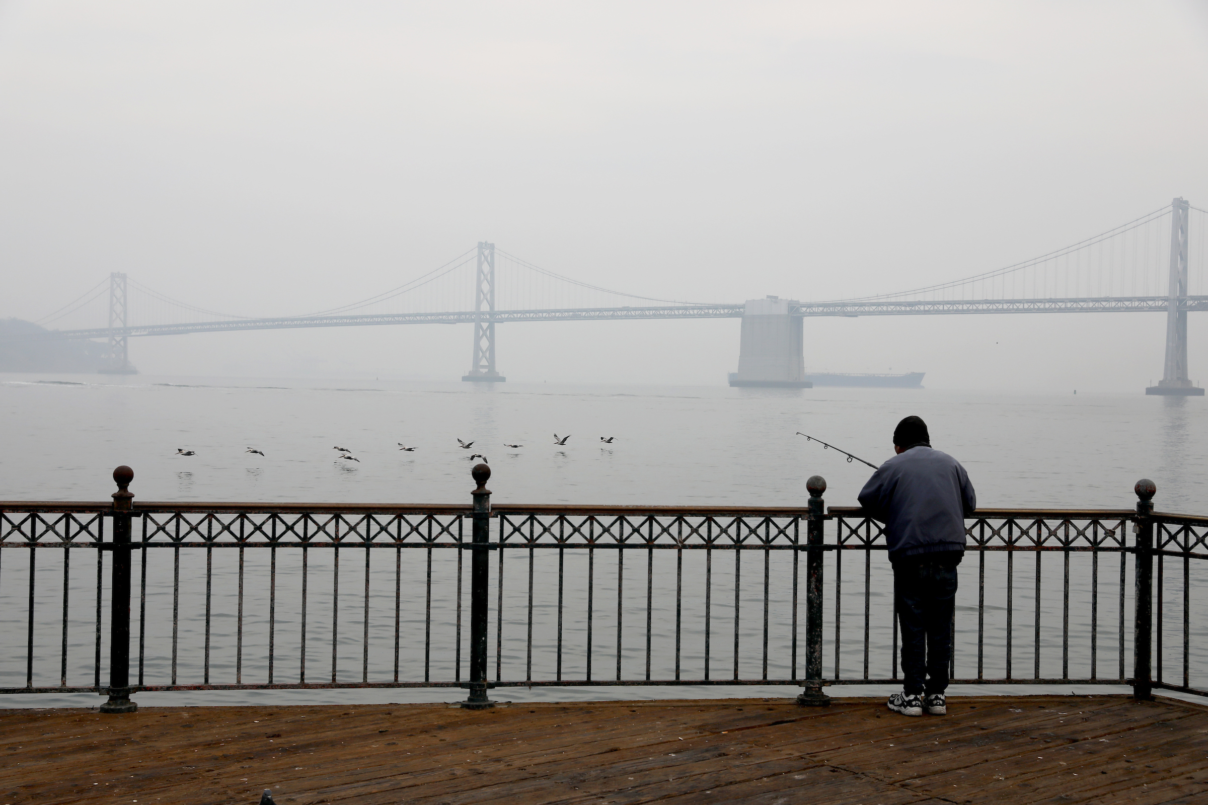 1542748952405-sf_smoke_ymj_06