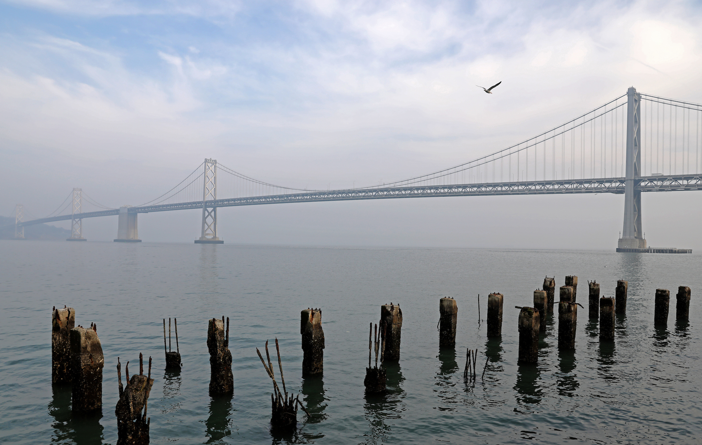 1542749094999-sf_smoke_ymj_13