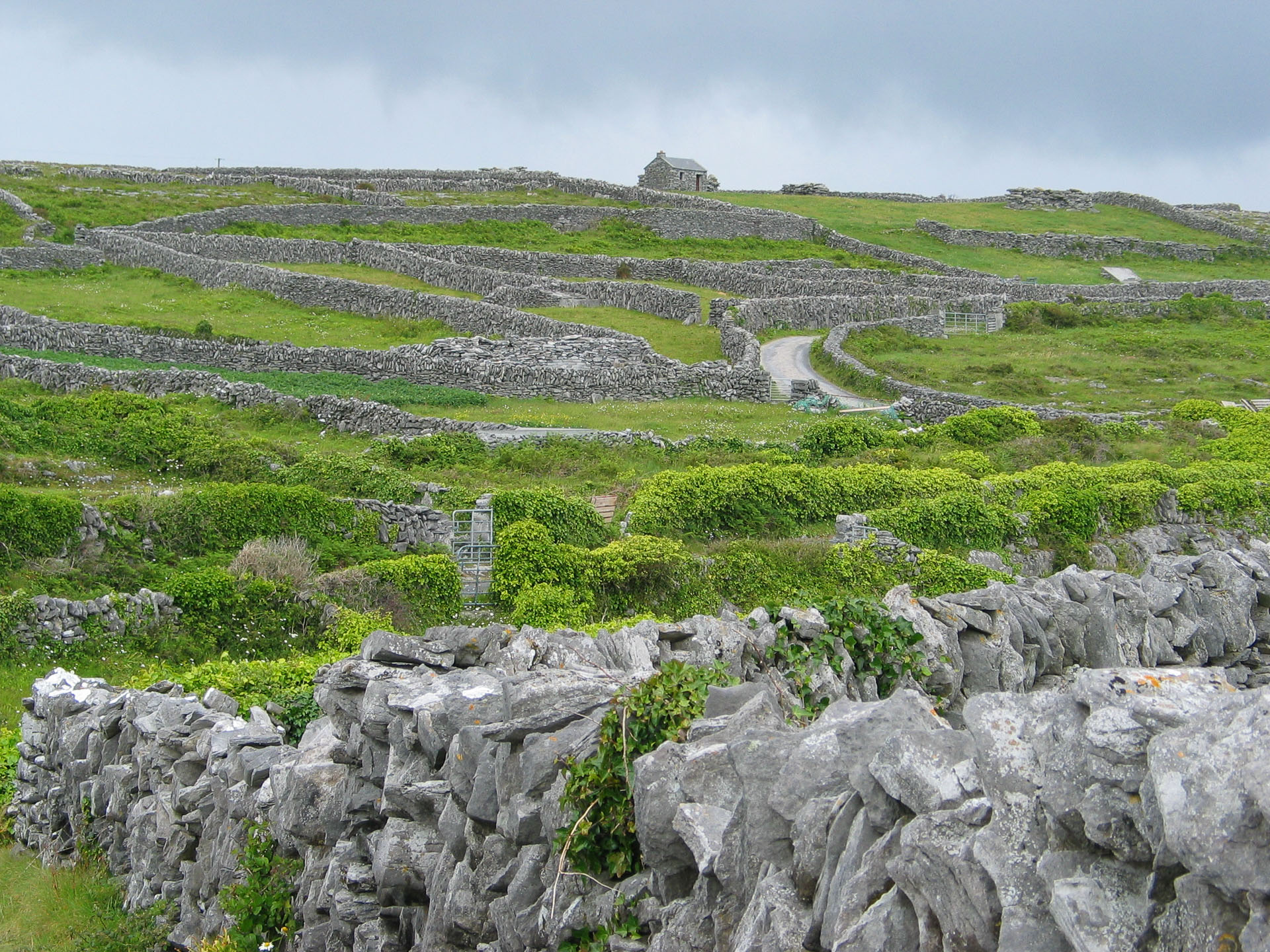 Inisheer-Irish-Island-Sex-1-of-5