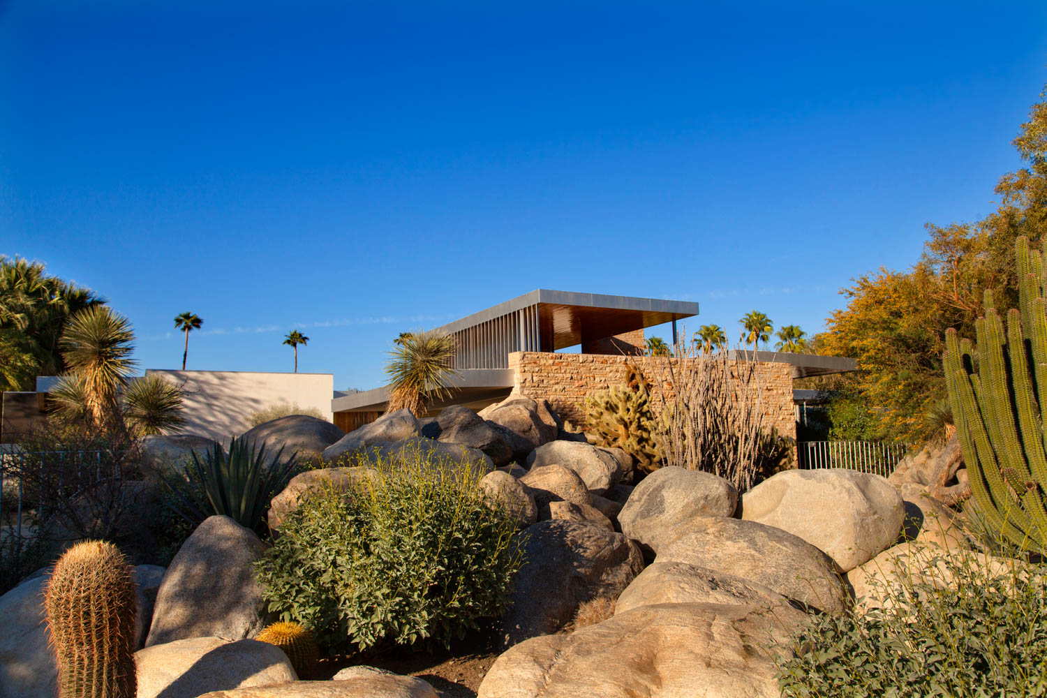 Palm Springs | An Accidental Art Scene is Flourishing in the Desert - Amuse