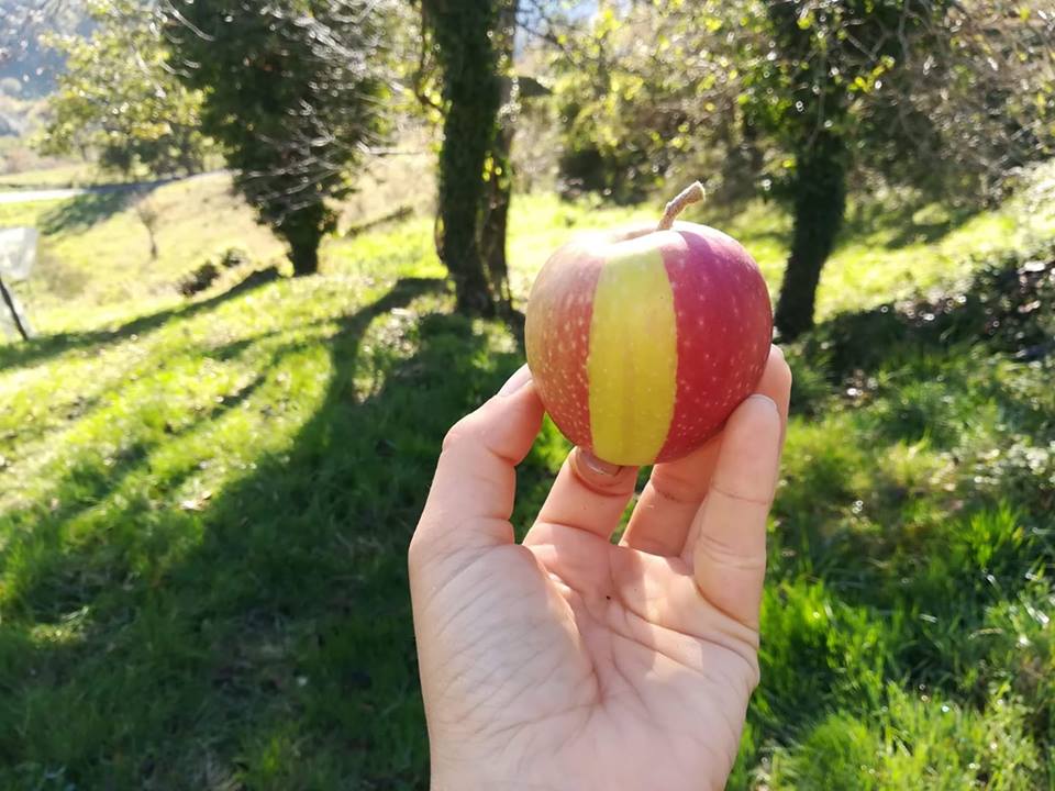 Azienda-Radica-Rosita