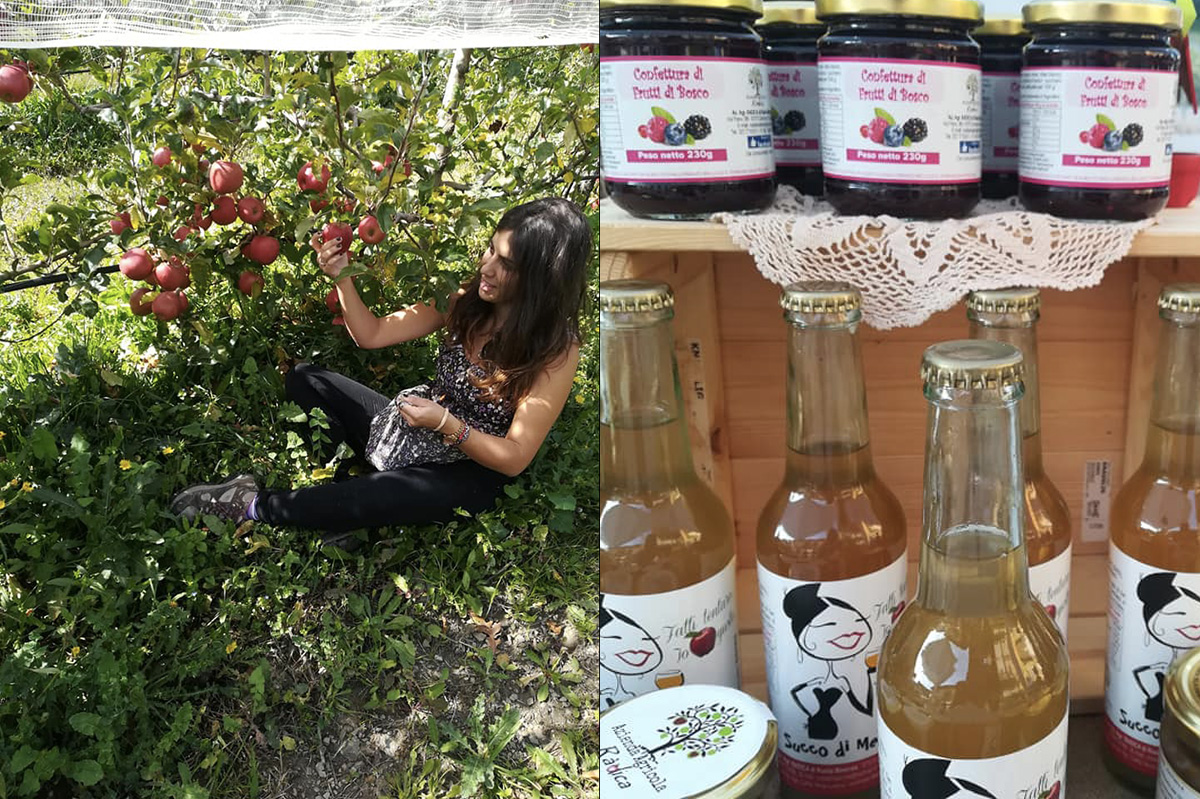 Azienda-rosita-mastrota-pollino