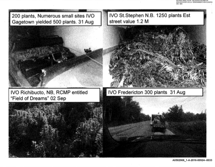 RCMP documents on Operation Sabot