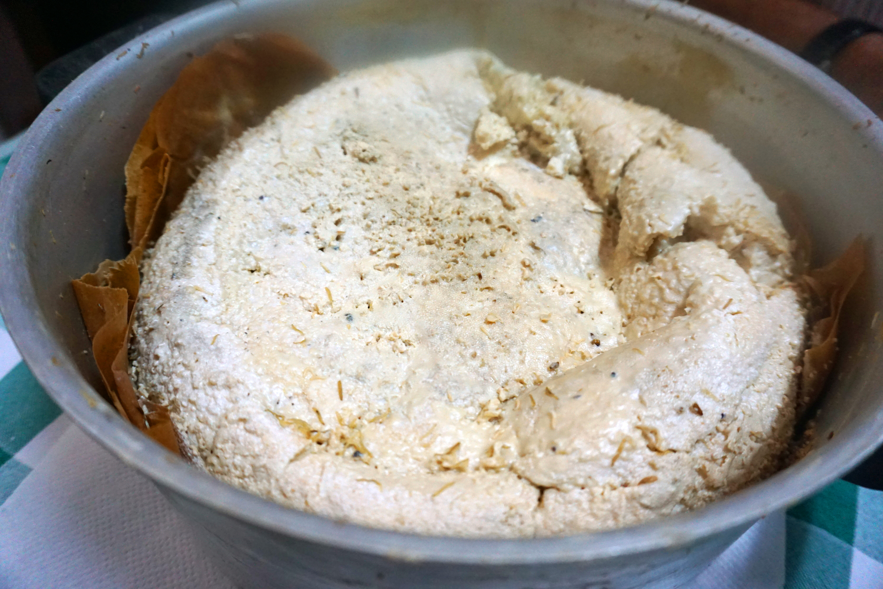 Der Casu Marzu