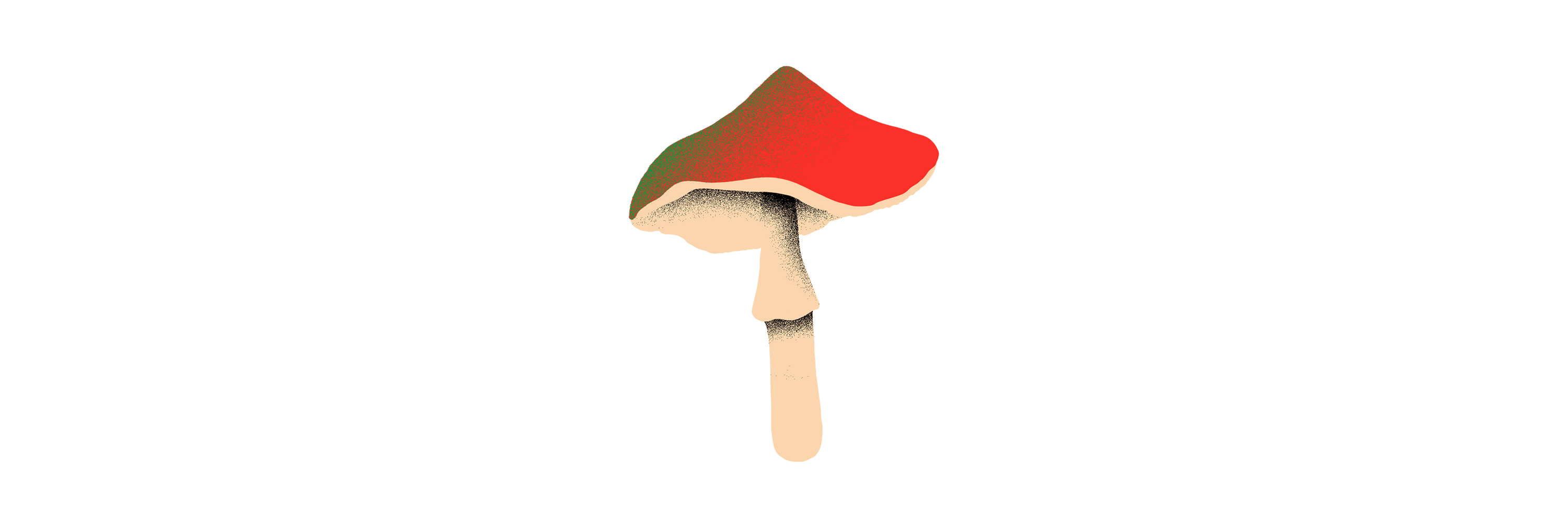 1543600898647-inset_pngs3
