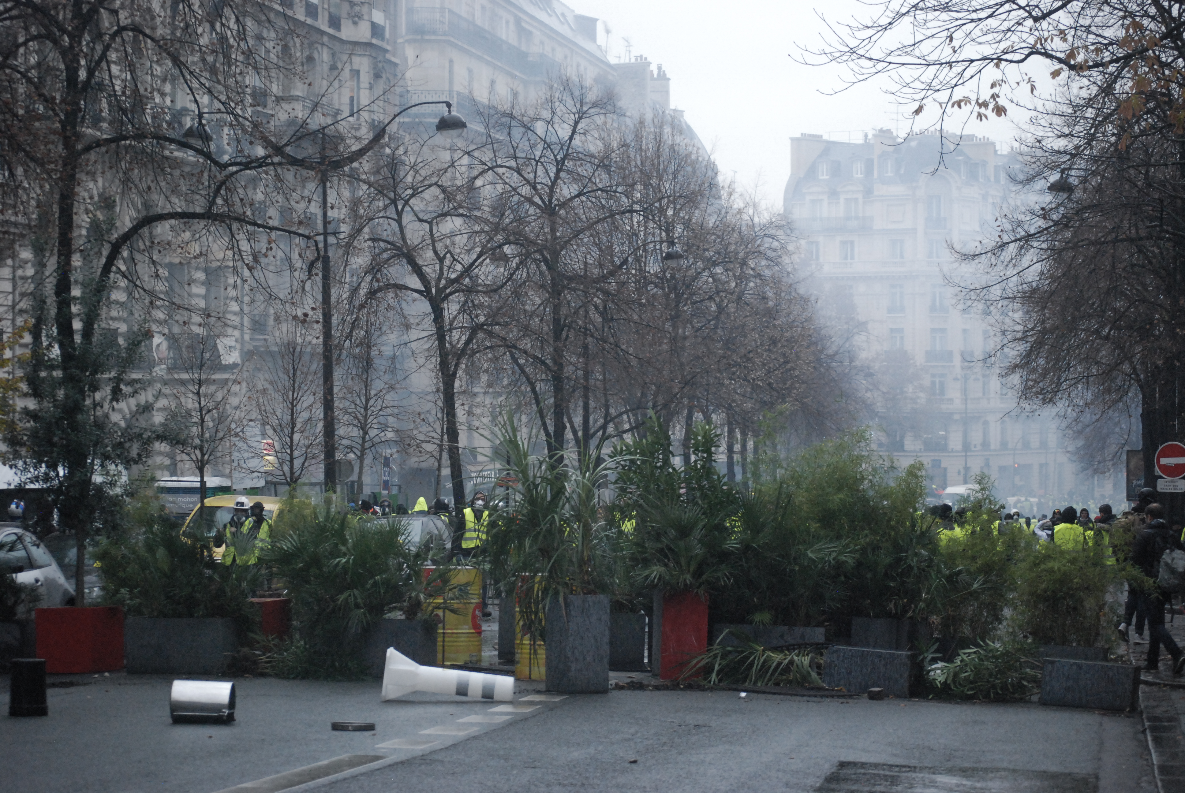 1543843219679-DSC_8151
