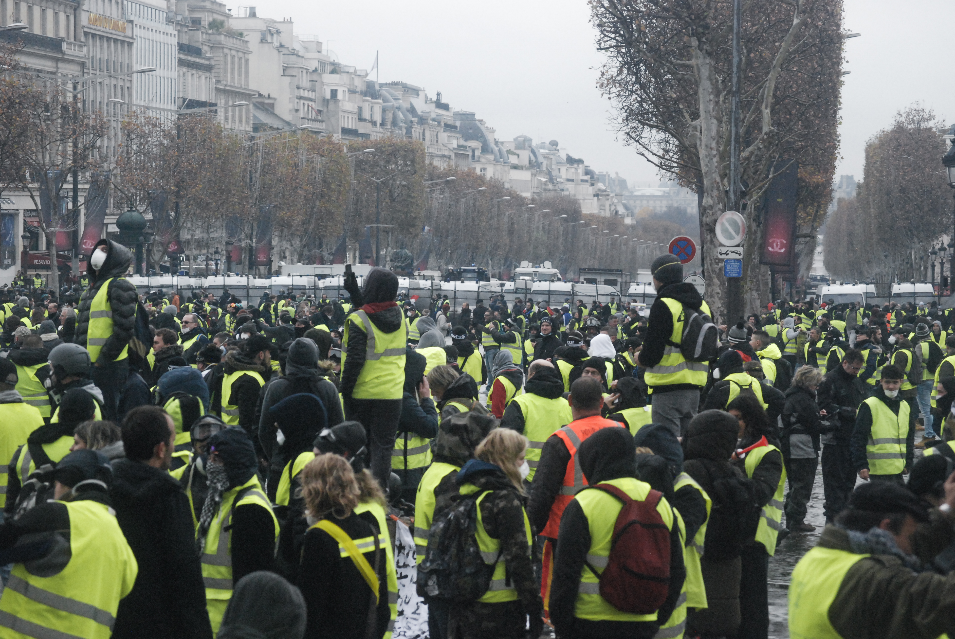 1543843312798-DSC_8343