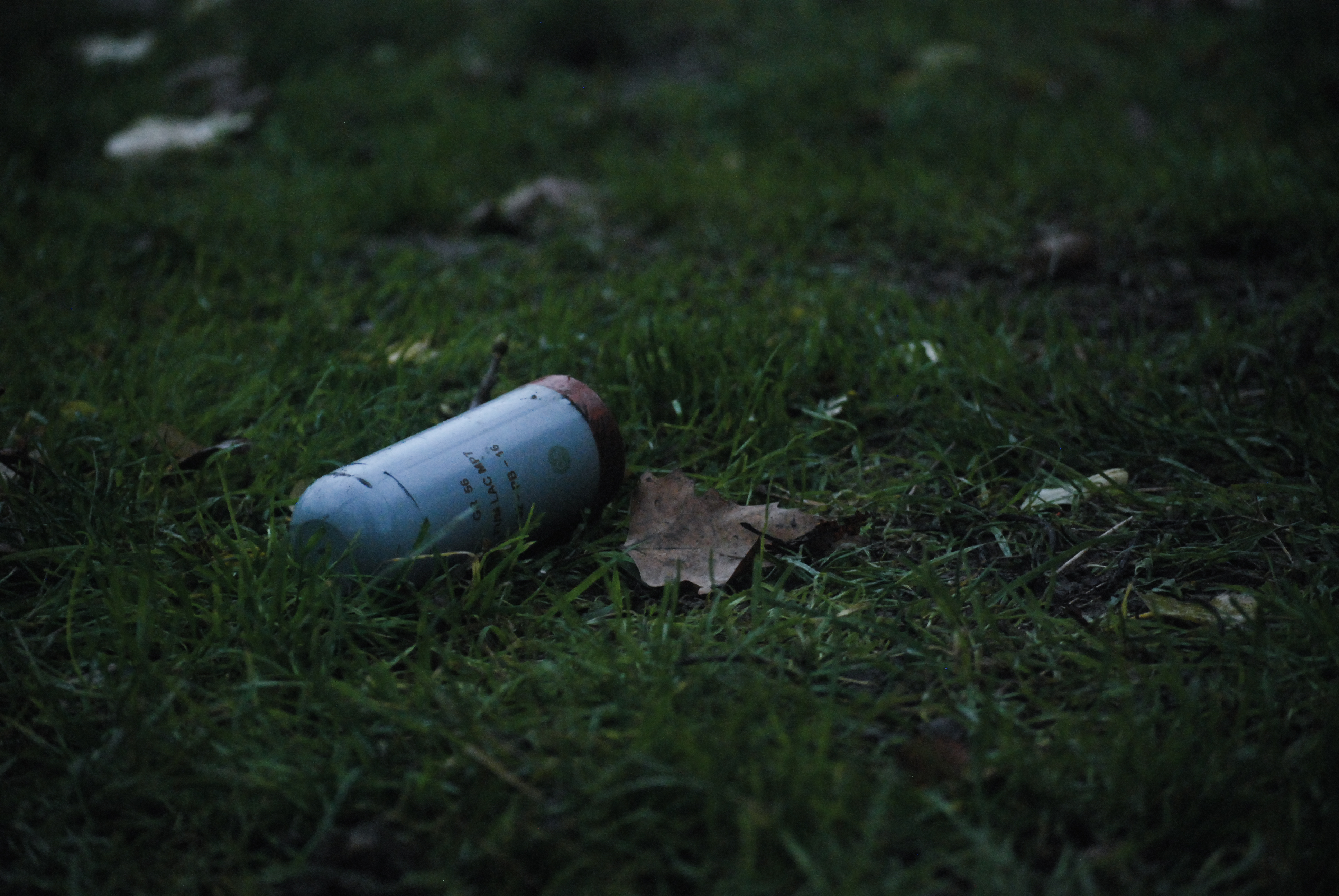 1543843678471-DSC_8782