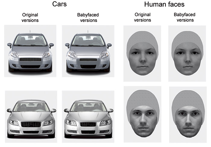 baby faced cars