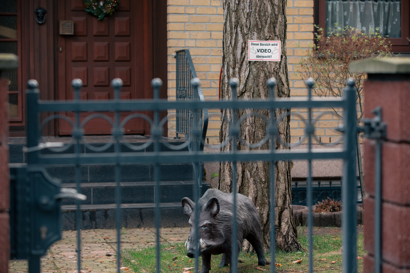 Eine Wildschweinattrappe steht in einem Vorgarten von Müggelheim