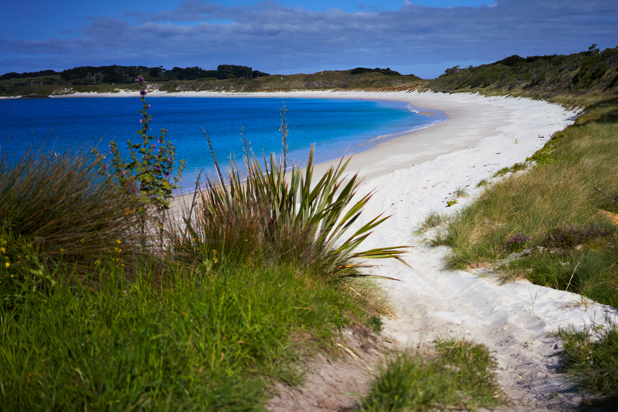 Chatham Island is a Paradise - VICE