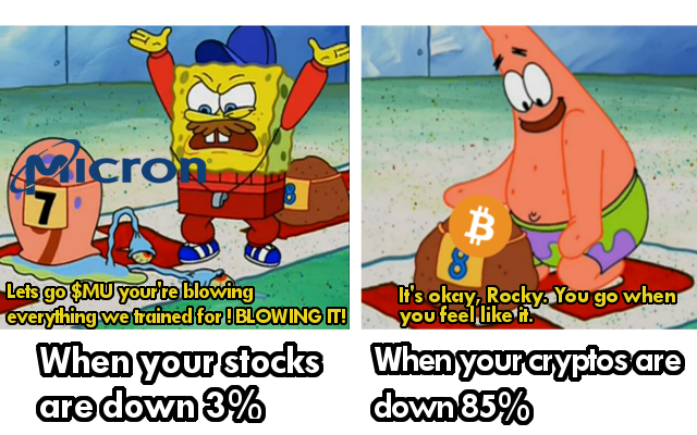 Why Bitcoiners Are Using Memes To Cope With A Crash