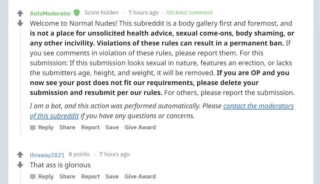 Dieser Text erscheint in jedem Beitrag ganz oben. Er soll die Community und neue Besucherinnen an die Regeln des Forums erinnern | Screenshot | Reddit | normalnudes