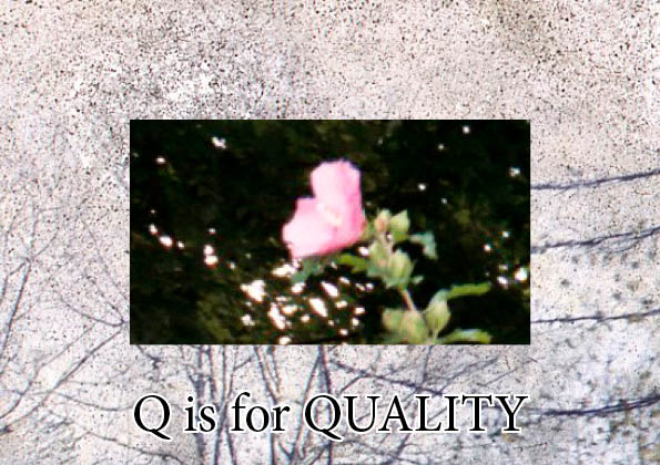 q