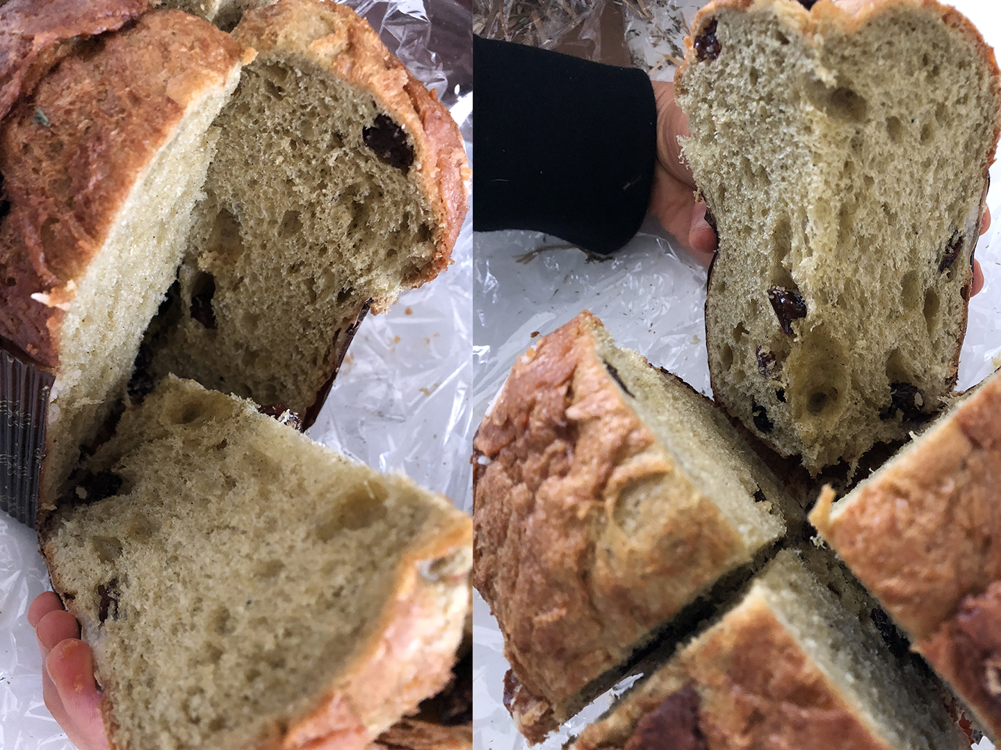 Panettone Aqua Crua